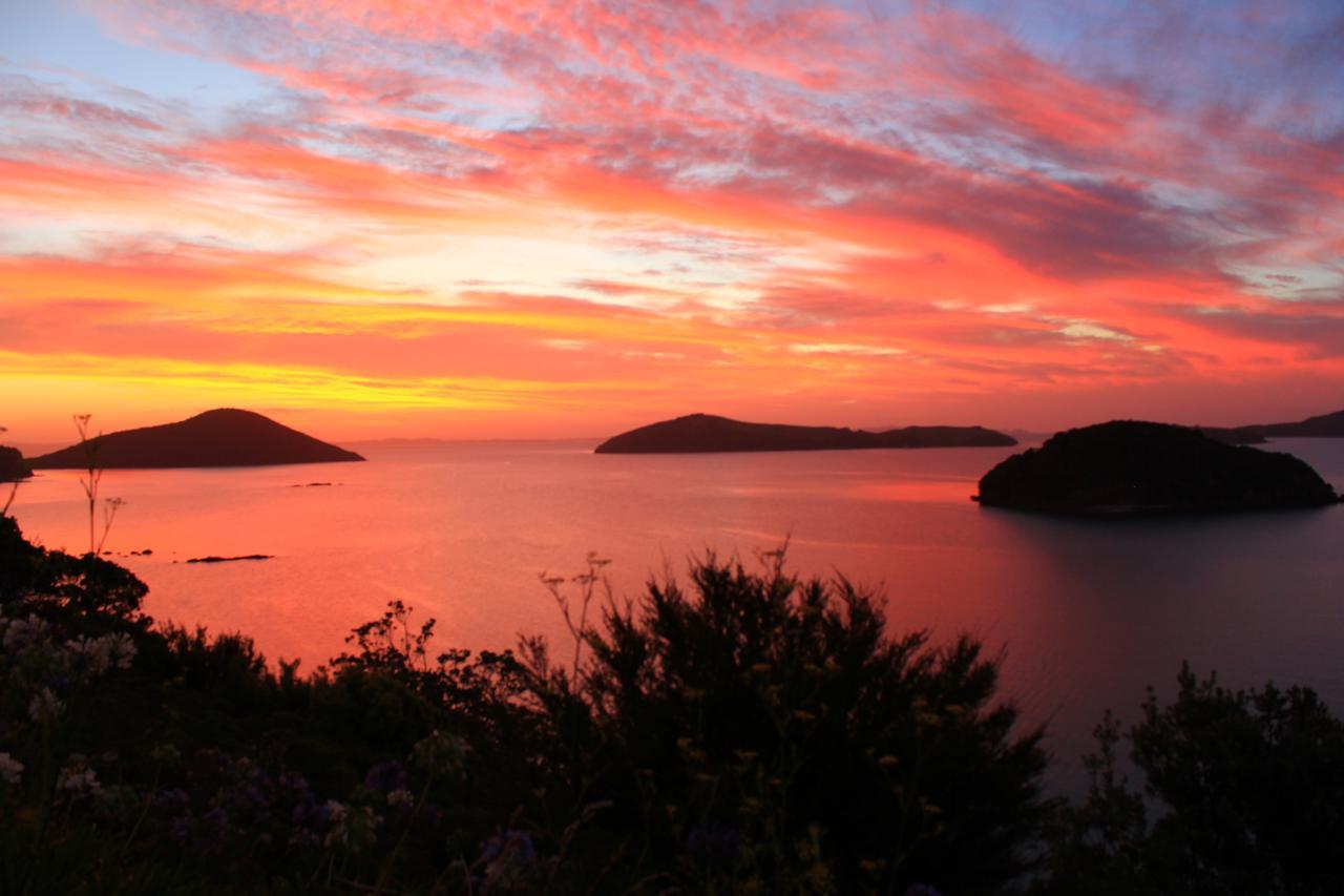 Coromandel Cottages Экстерьер фото